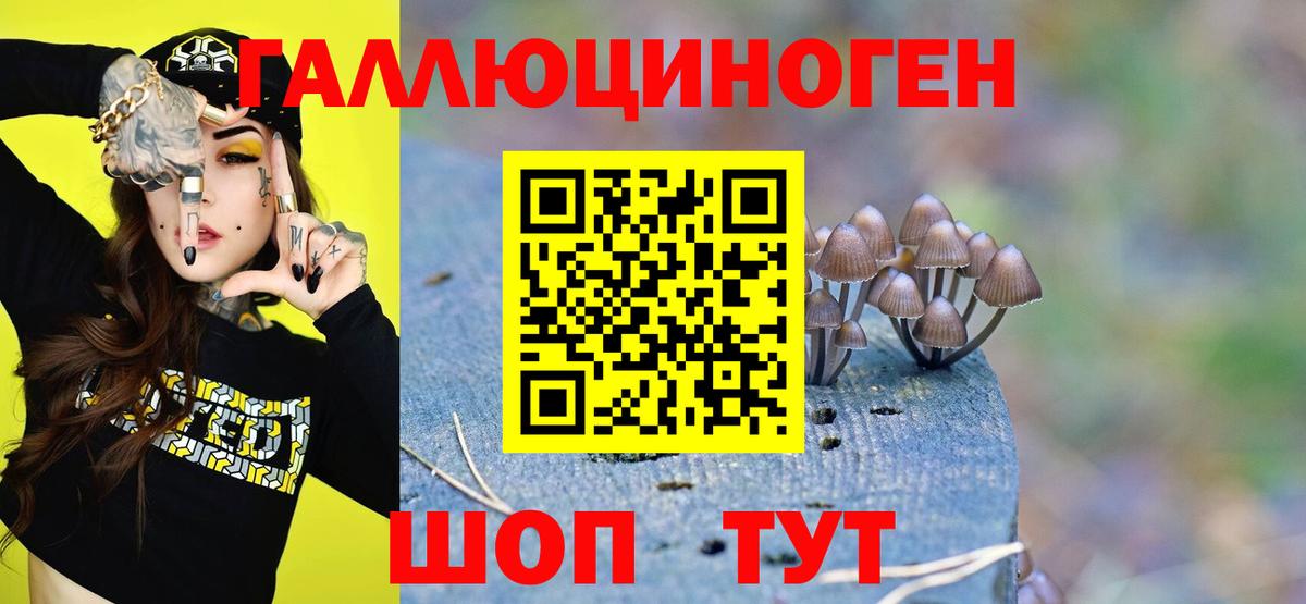 Петрозаводск  как найти закладки  Вход с VPN  Псилоцибиновые грибы Psilocybine cubensis  Галлюциногенные грибы прущие грибы 